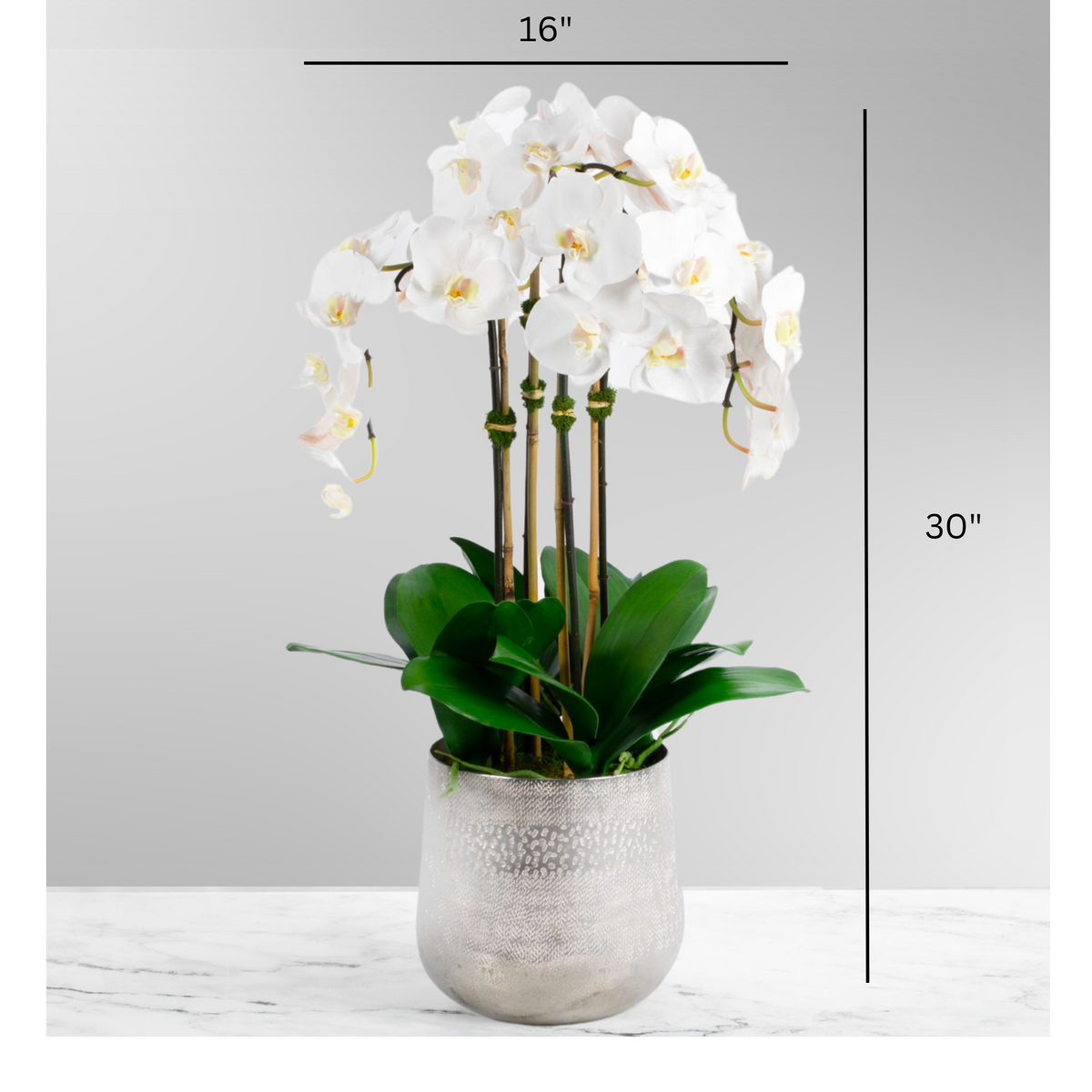 Tall White Orchid Arrangement in Silver Vase — 30″