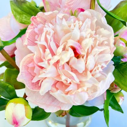 Full Blush Peony Arrangement in Glass Vase — 10″