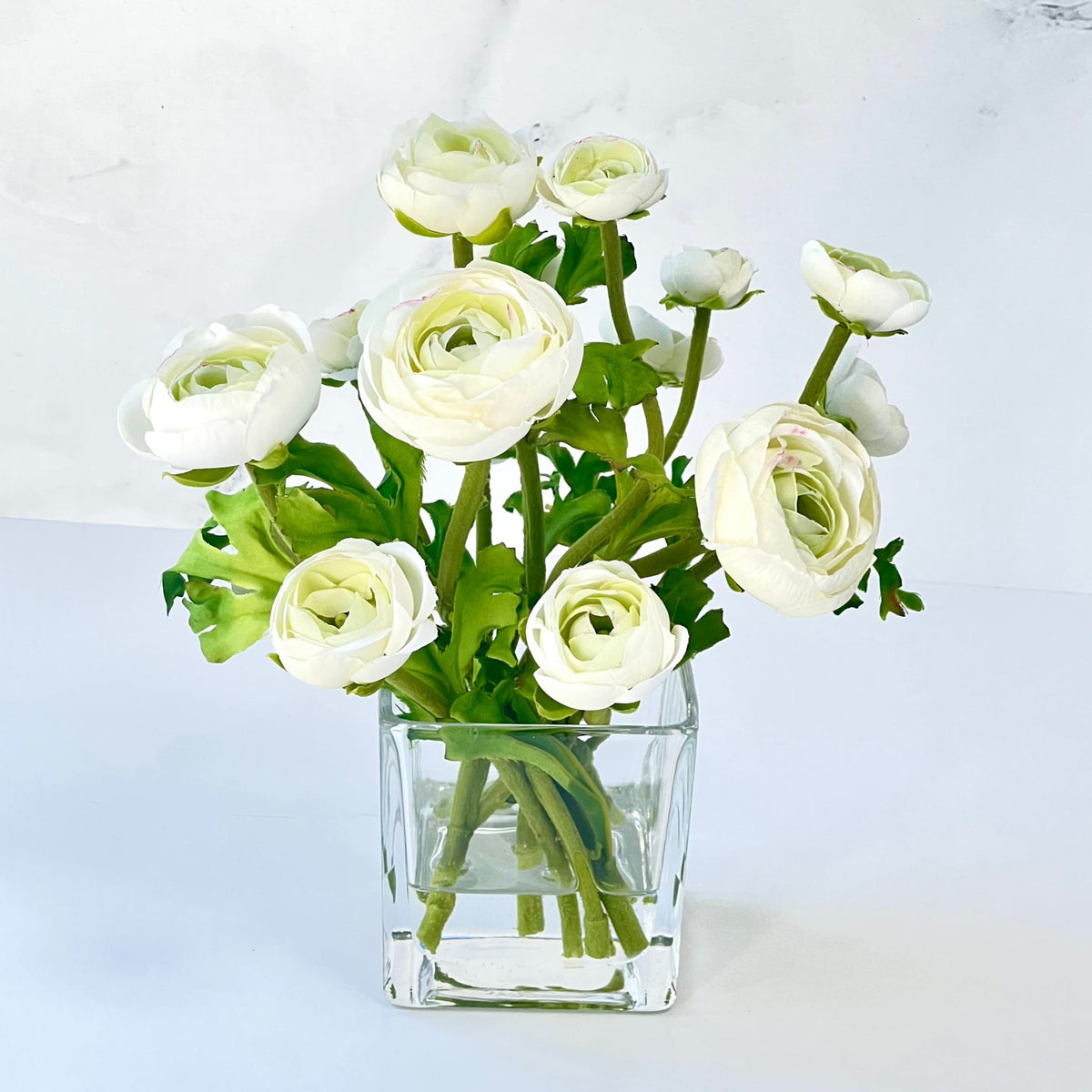 White ranunculus arrangement in a clear cube glass vase, 8 inches high