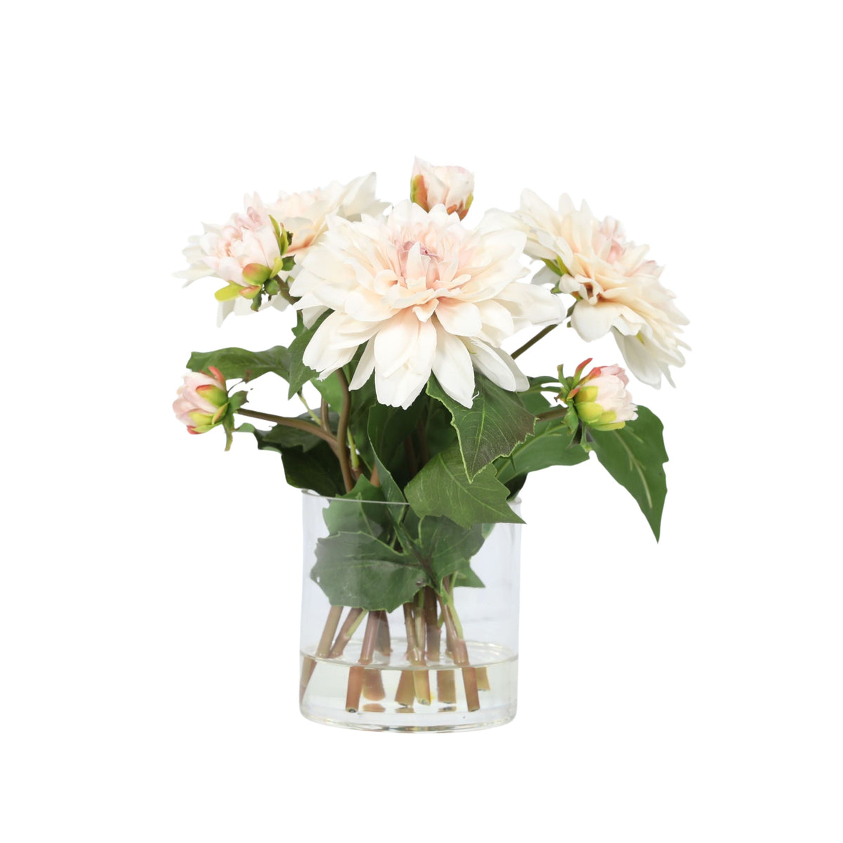 Soft Peach Dahlia Arrangement in Glass Vase — 10″