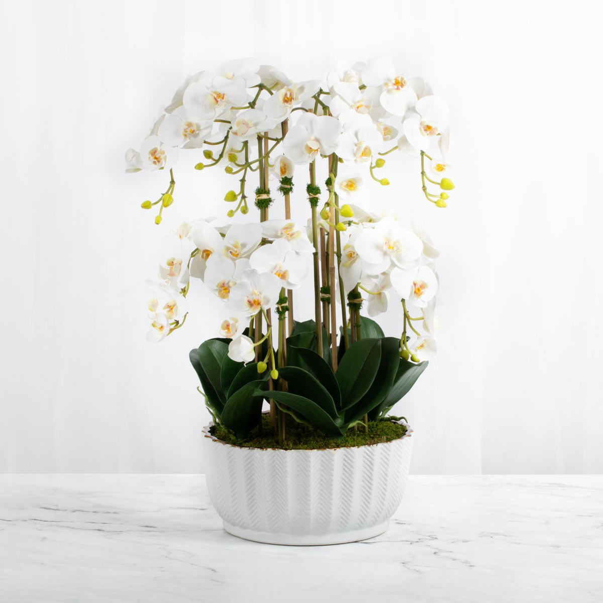 Grand multi-stem white Phalaenopsis orchid centerpiece in a textured white ceramic vase, 26 inches high