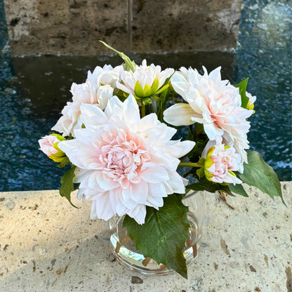 Soft Peach Dahlia Arrangement in Glass Vase — 10″