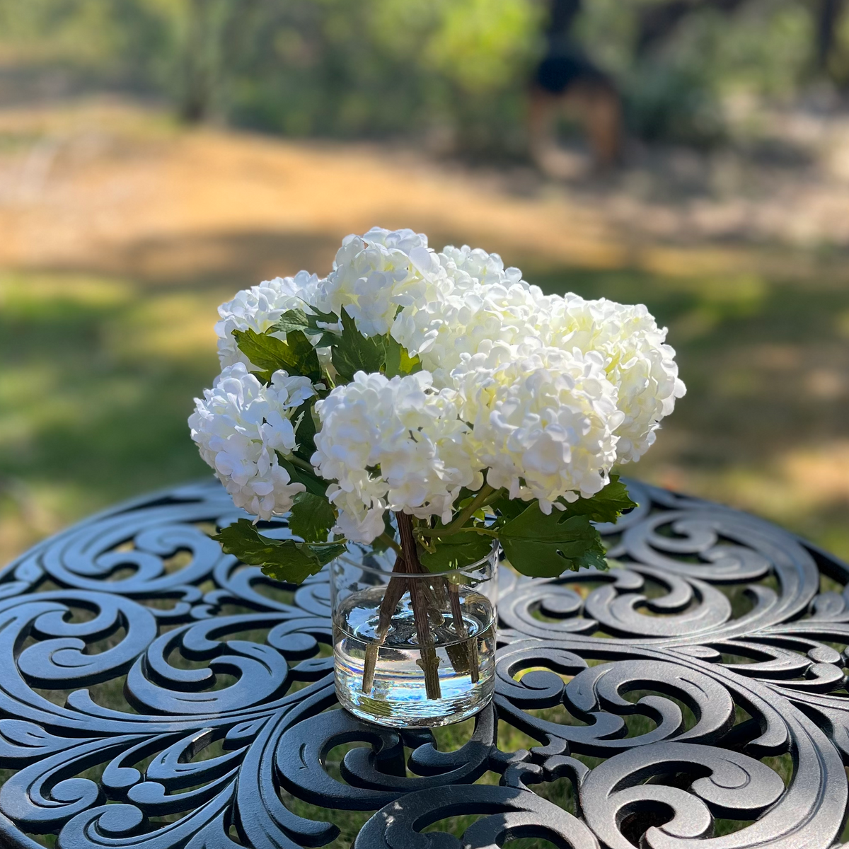 White Hydrangea Arrangement in Glass Vase — 8″