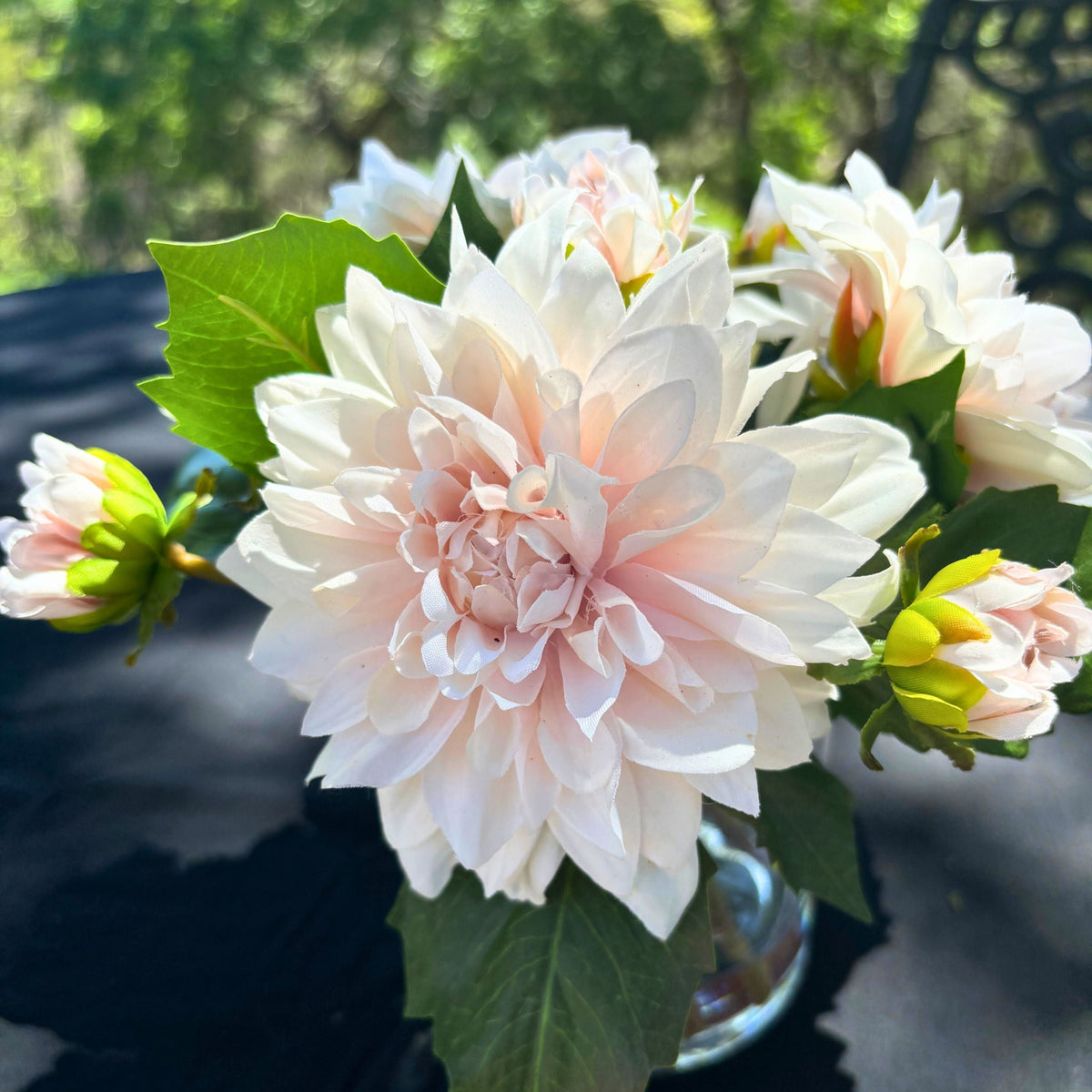 Soft Peach Dahlia Arrangement in Glass Vase — 10″