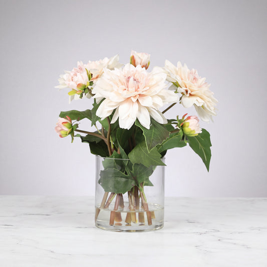 Soft Peach Dahlia Arrangement in Glass Vase — 10″