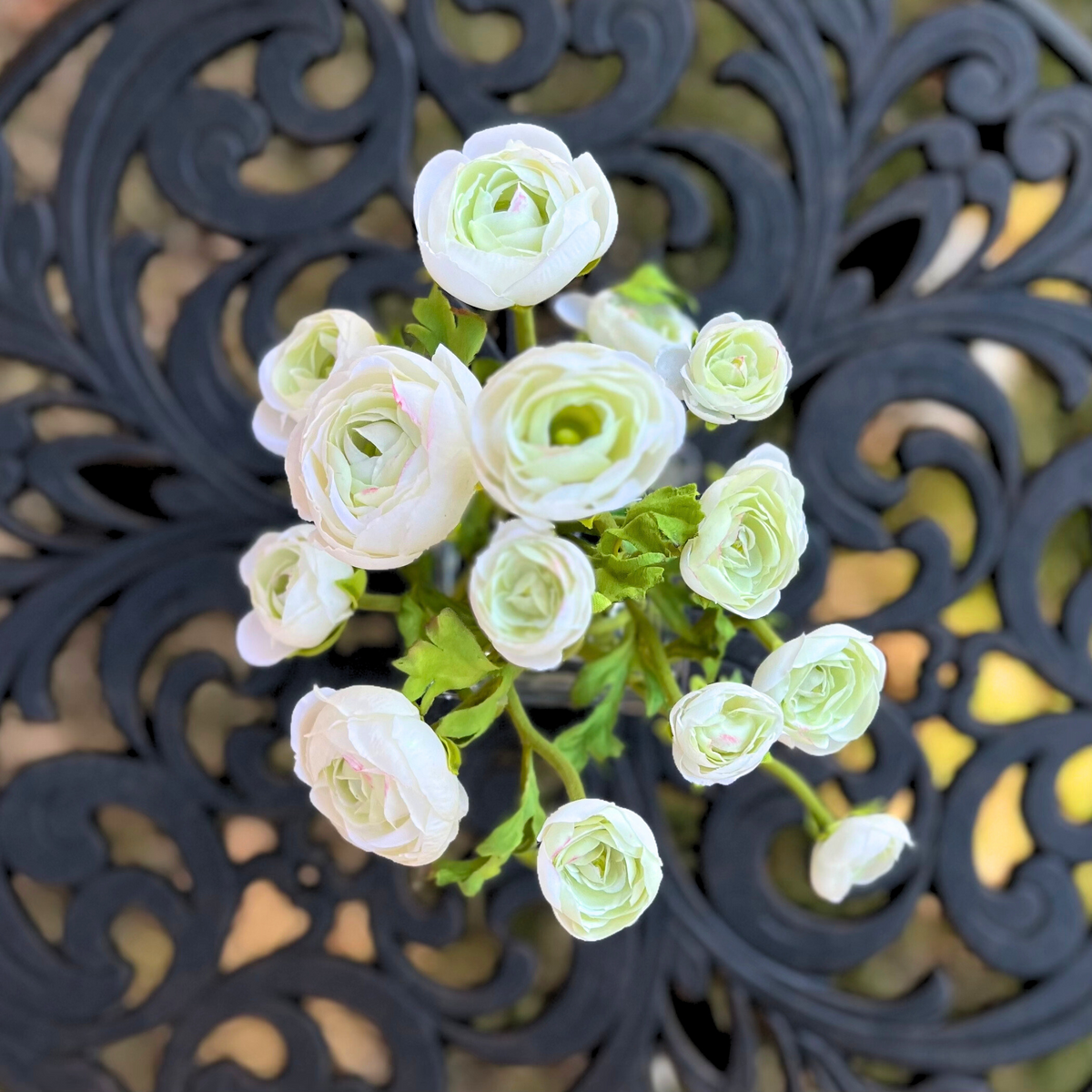 White Ranunculus Arrangement in Glass Vase — 8″
