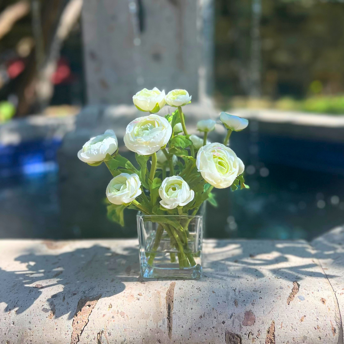 White Ranunculus Arrangement in Glass Vase — 8″