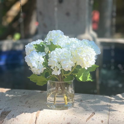 White hydrangea arrangement with eight miniature blooms in a clear glass vase, 8 inches high