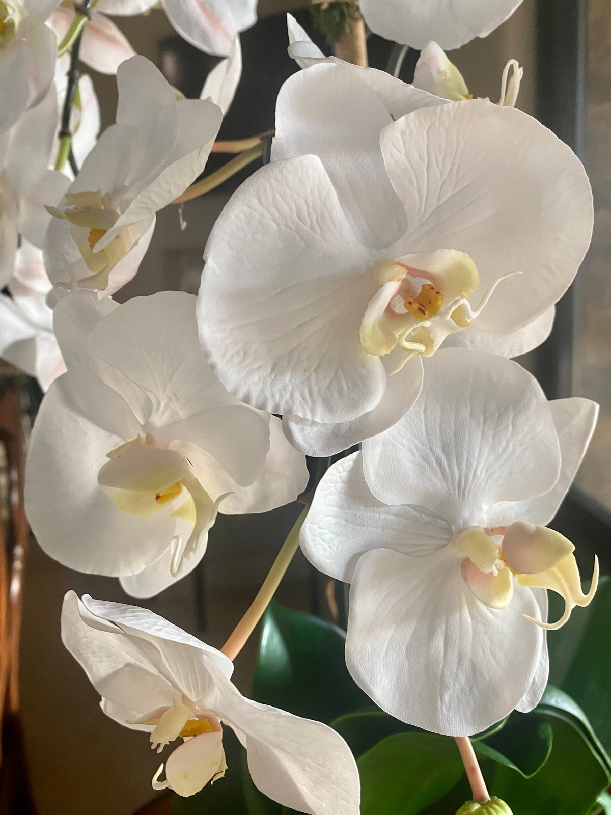 Grand White Orchid Centerpiece in Ceramic Vase — 26″